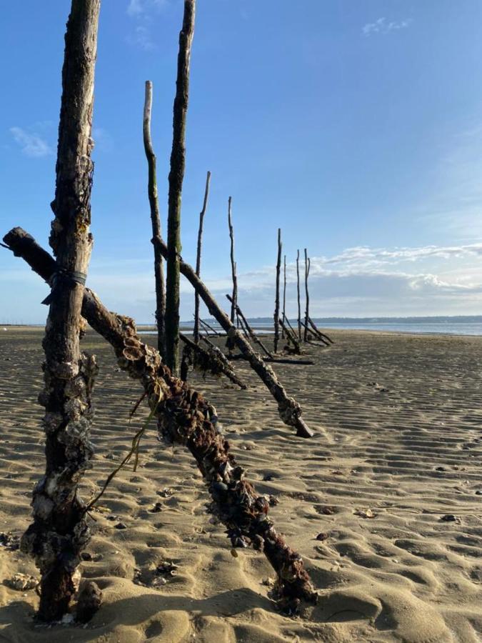 Appartement Cosy Village De L'Herbe Lege-Cap-Ferret Luaran gambar